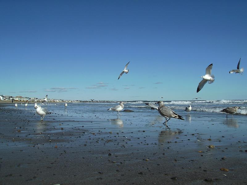 Biddeford (79).JPG